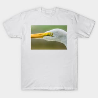 Up close with the Great Egret T-Shirt